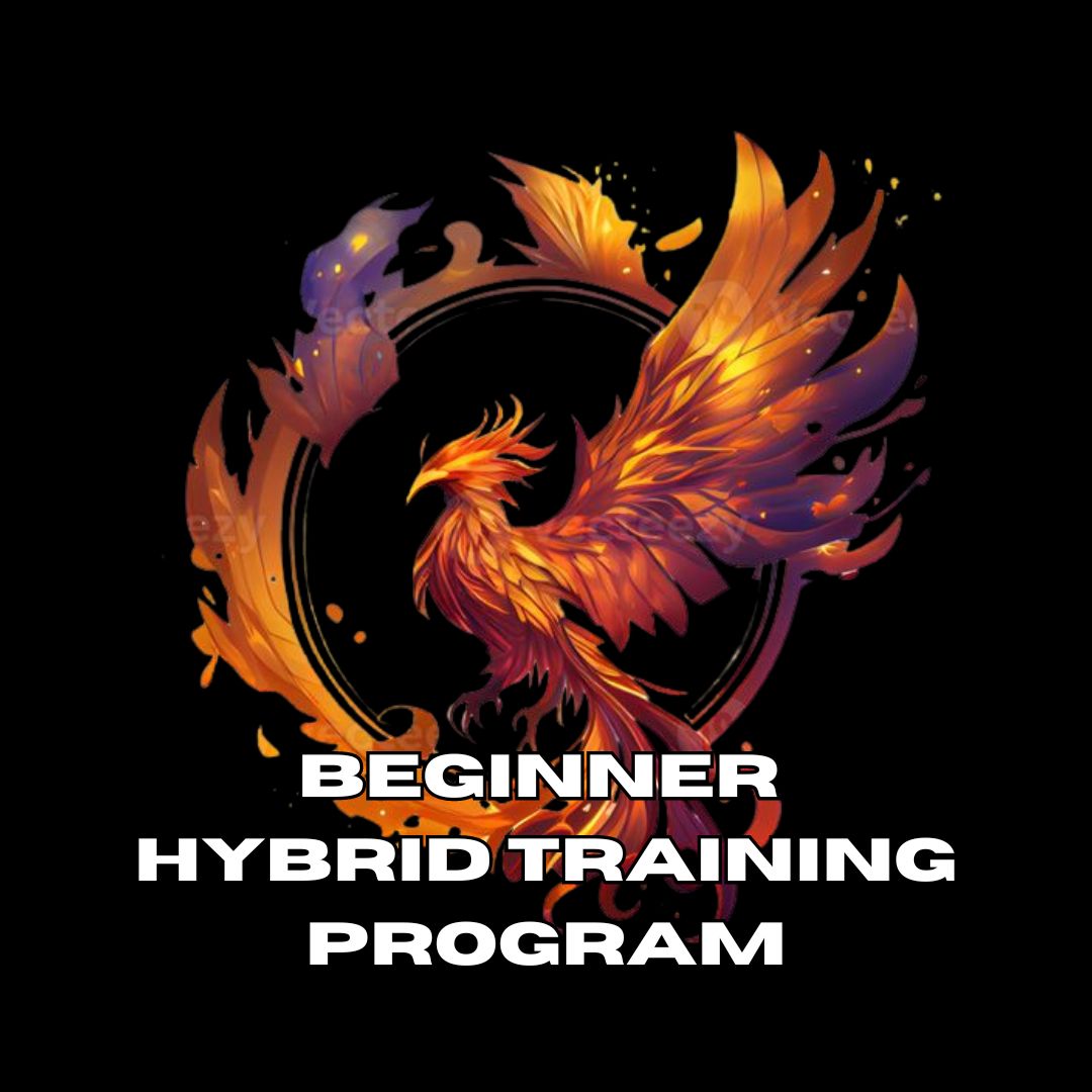 Rise From The Ashes: Beginner Hybrid Program