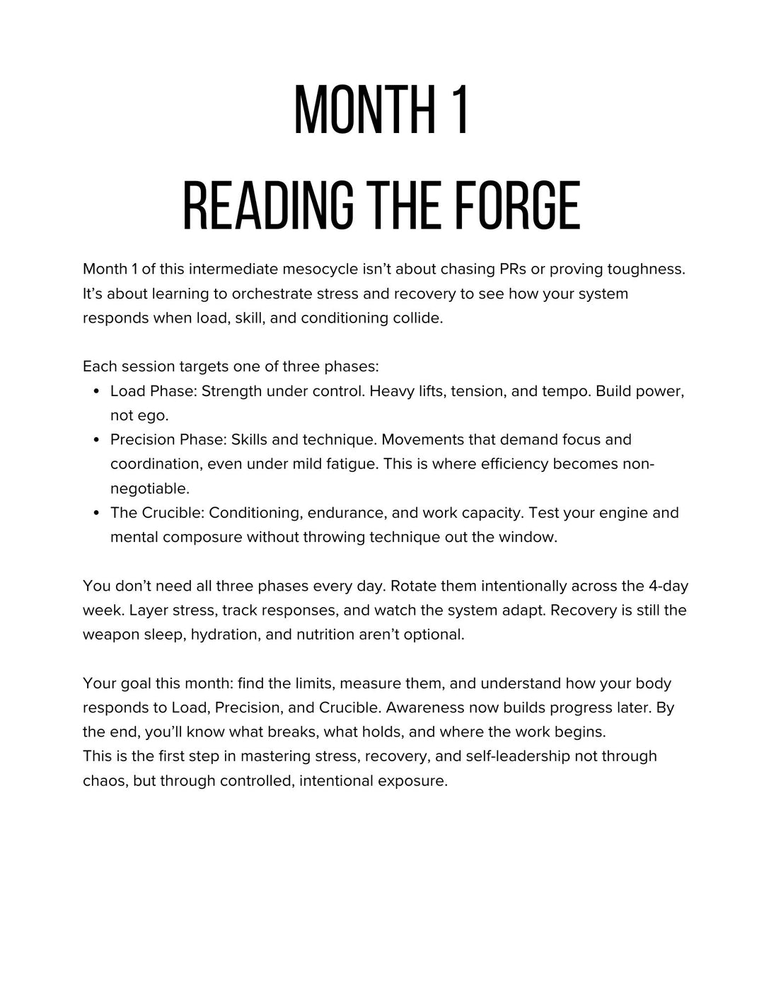 Forged Foundations: 3-Day Beginner Training Journal